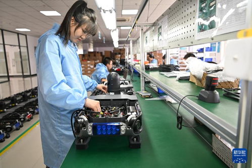 哈爾濱新區(qū) 技術(shù)服務(wù)涌動(dòng)創(chuàng)新熱潮，引領(lǐng)產(chǎn)業(yè)振興