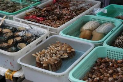 純玩·港珠澳大橋 | 168元一日游 乘豪華游輪，享海味干貨批發