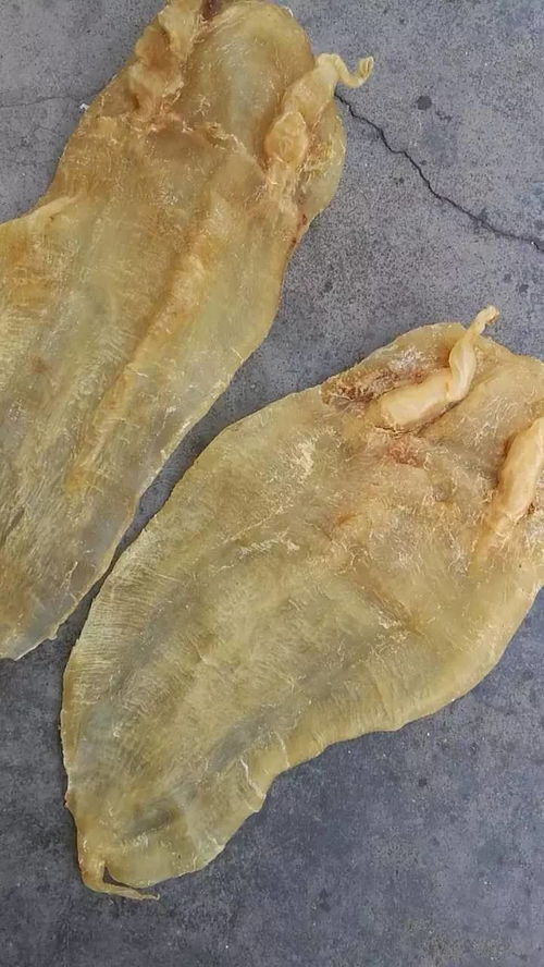 昌盛海味行 優(yōu)質(zhì)海產(chǎn)與海味干貨的批發(fā)與零售專家