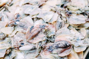 送給長輩的年貨清單 靠譜的福州海味干貨攻略全在這兒了