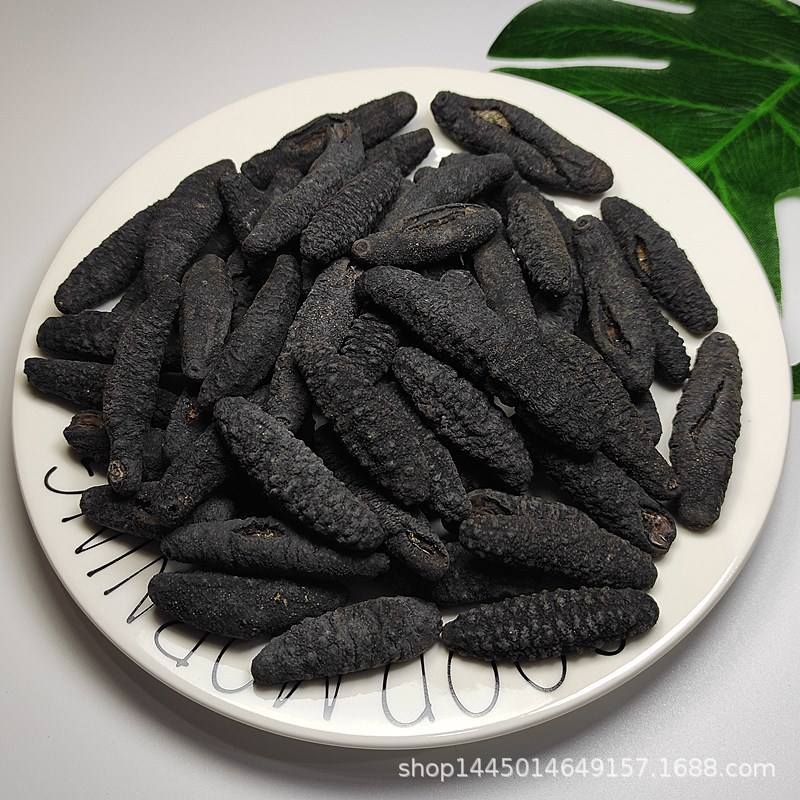 廣西北海特產海鮮干貨批發指南 精選淡干海參與米刺參