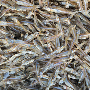 北海銀魚仔 鮮美海味，干貨之選——最新批發(fā)報(bào)價(jià)與市場指南